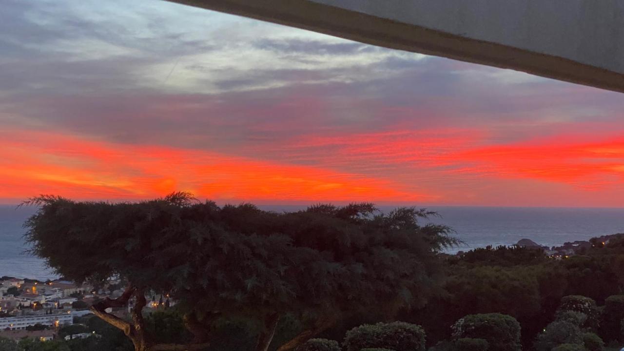 Vue Mer Panoramique Et Piscine Bandol Exterior foto